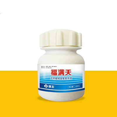 福满天