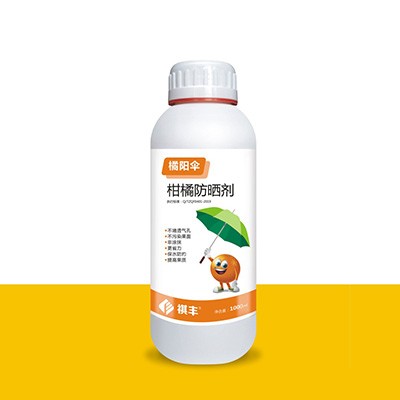 橘阳伞